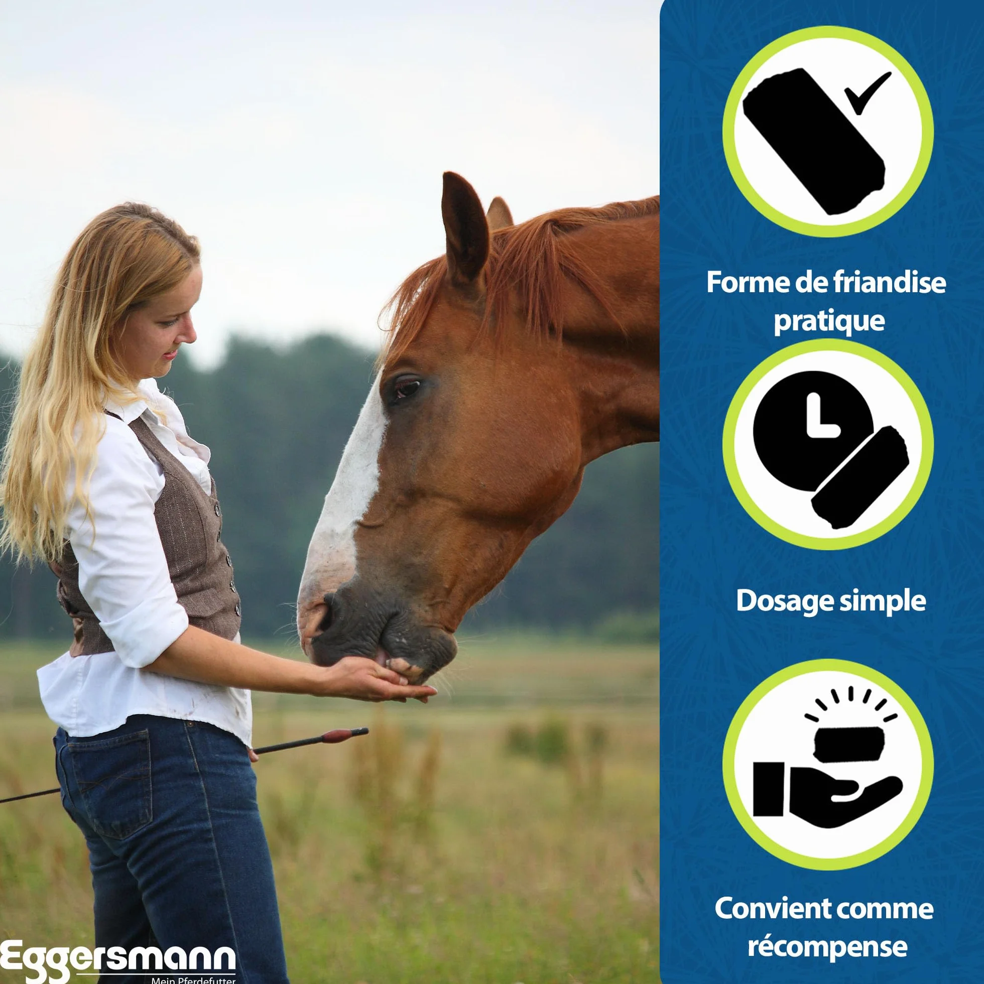 Eggersmann Mineral Bricks ail pour Cheval, Complément minéral contre les insectes, 4 kg