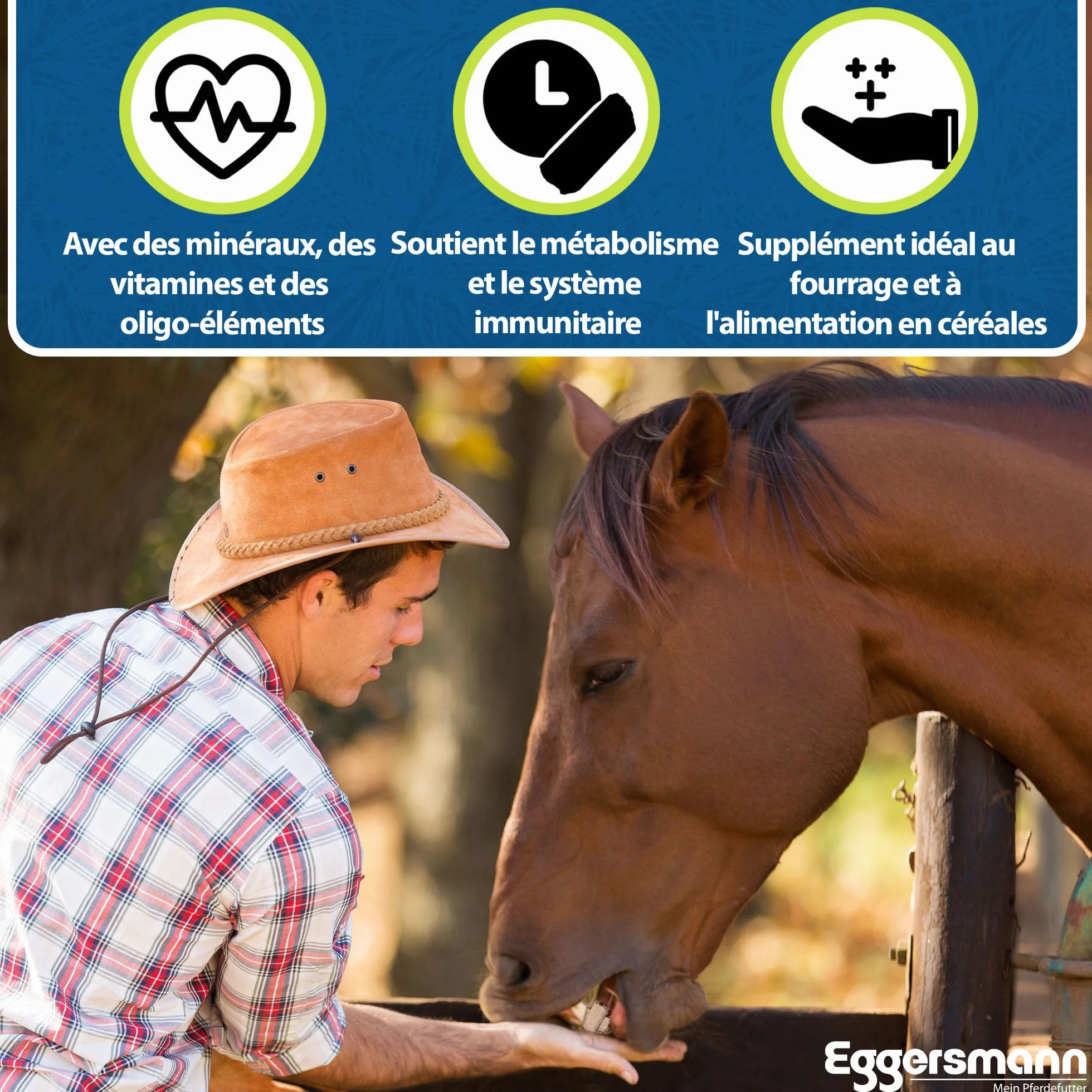 Eggersmann Mineral Bricks Nourriture minérale pour Chevaux 25 kg