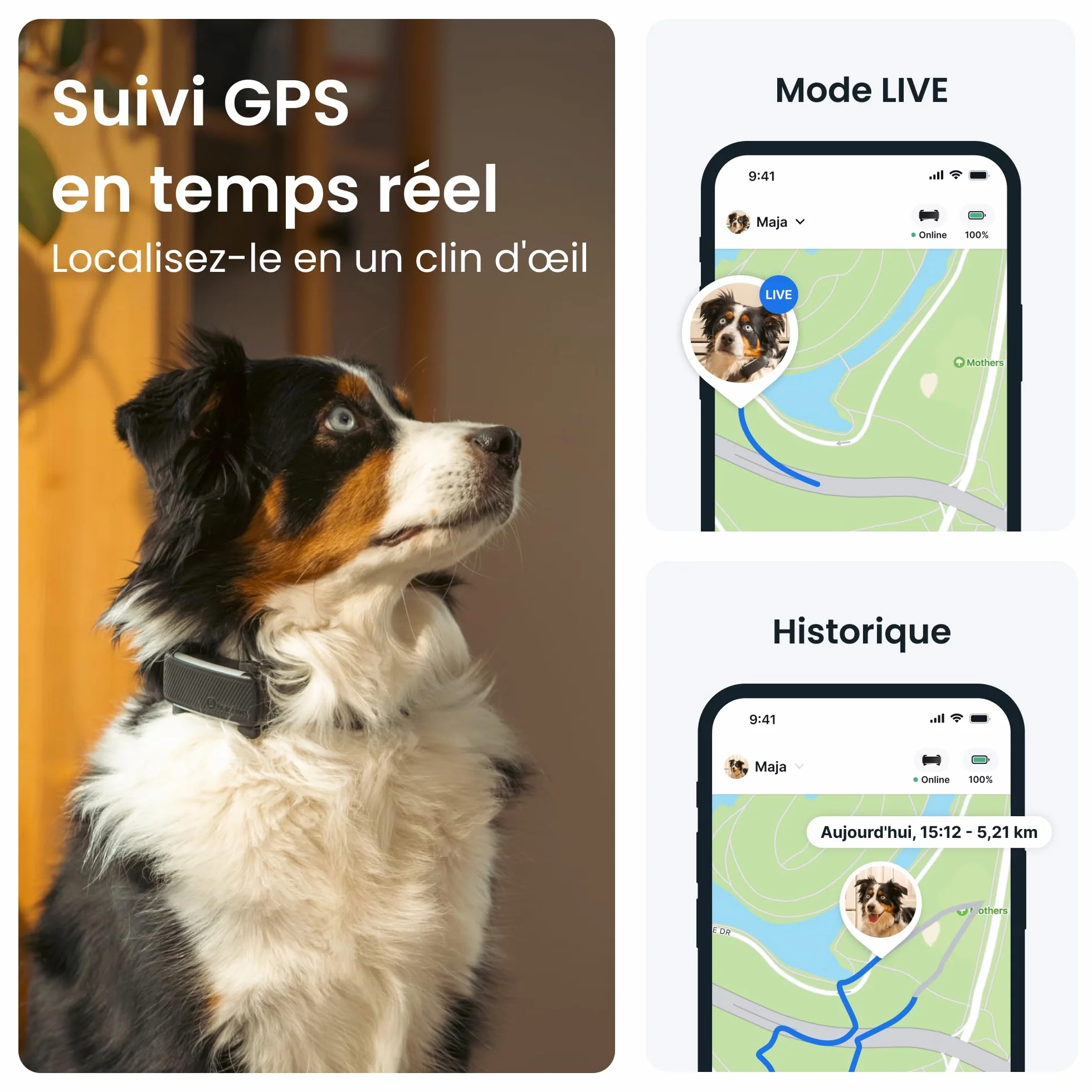 Tractive Collier GPS pour chien 2025 Édition Localisation en direct Alertes anti-fugue Moniteur d'activité et d'aboiements Noir
