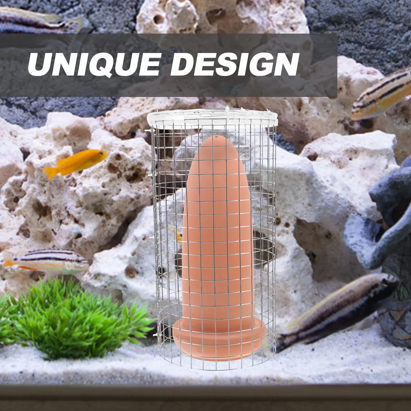 Cônes d'élevage en céramique pour Discus Crevettes Taille L