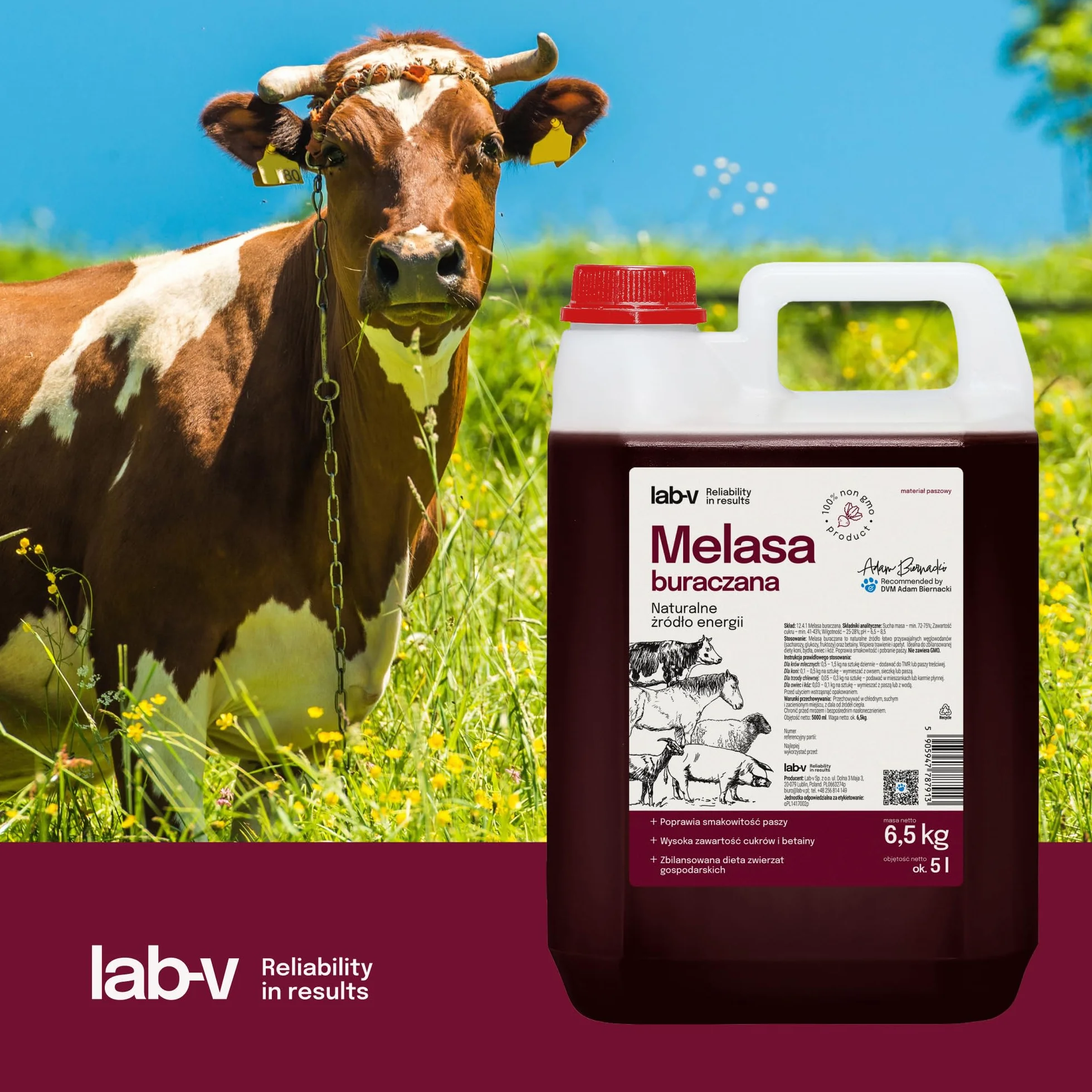 Lab-V Mélasse de betterave à sucre 5 l (6,5 kg) Aliment pour chevaux bovins moutons chèvres porcs