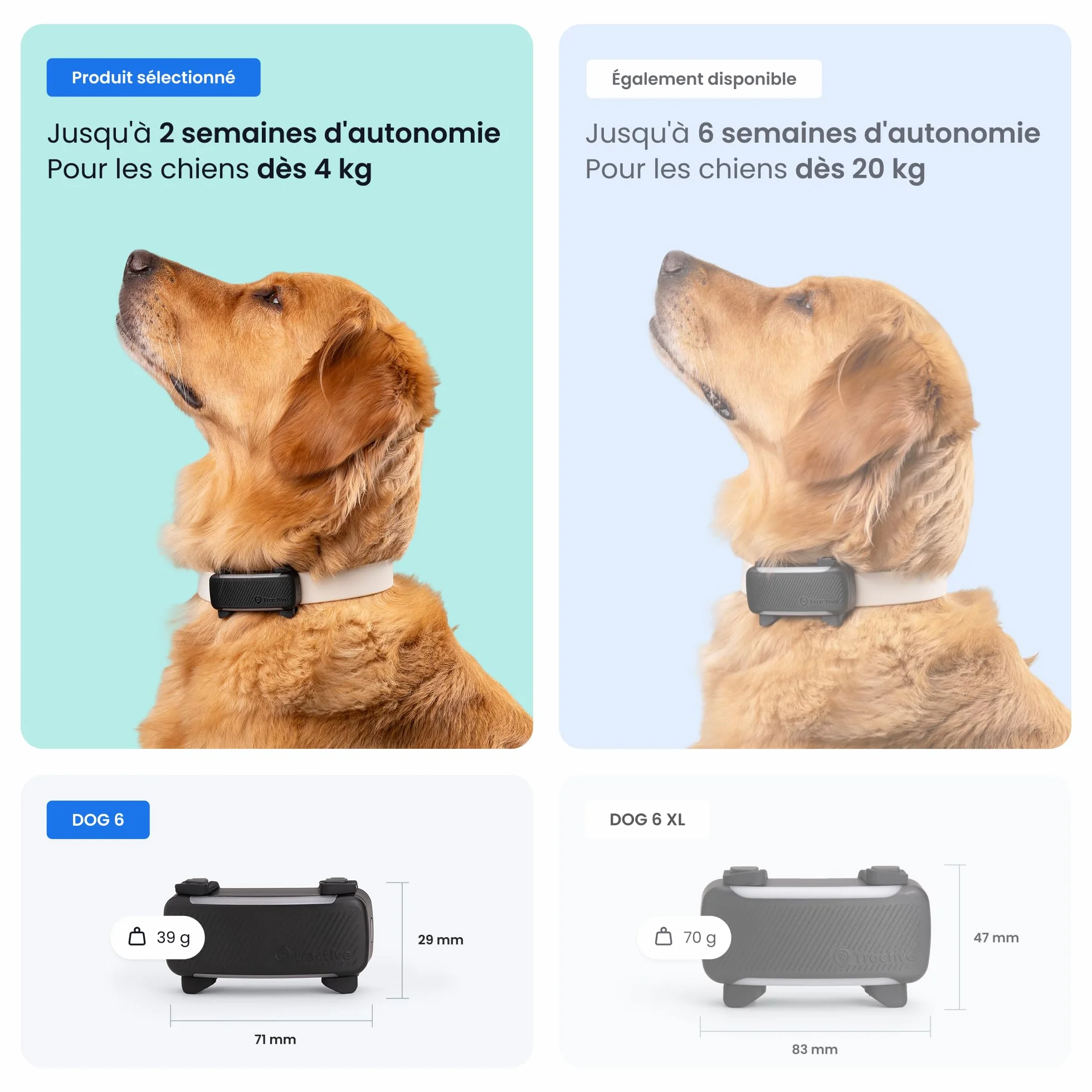 Tractive Collier GPS pour chien 2025 Édition Localisation en direct Alertes anti-fugue Moniteur d'activité et d'aboiements Noir