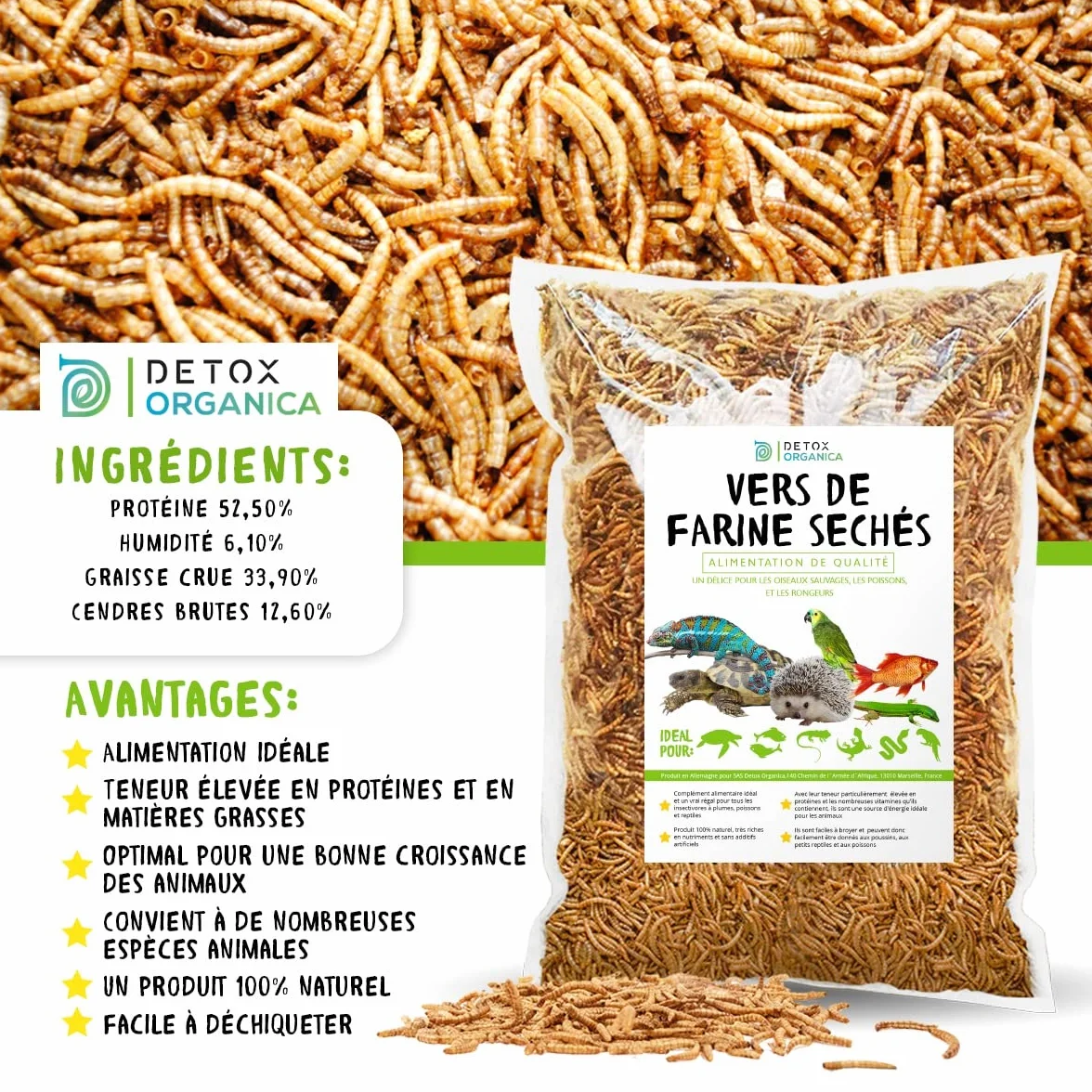 Vers de Farine Séchés 2 kg 13000 ml Nourriture pour Poissons Oiseaux Tortues Hérissons Rongeurs Reptiles