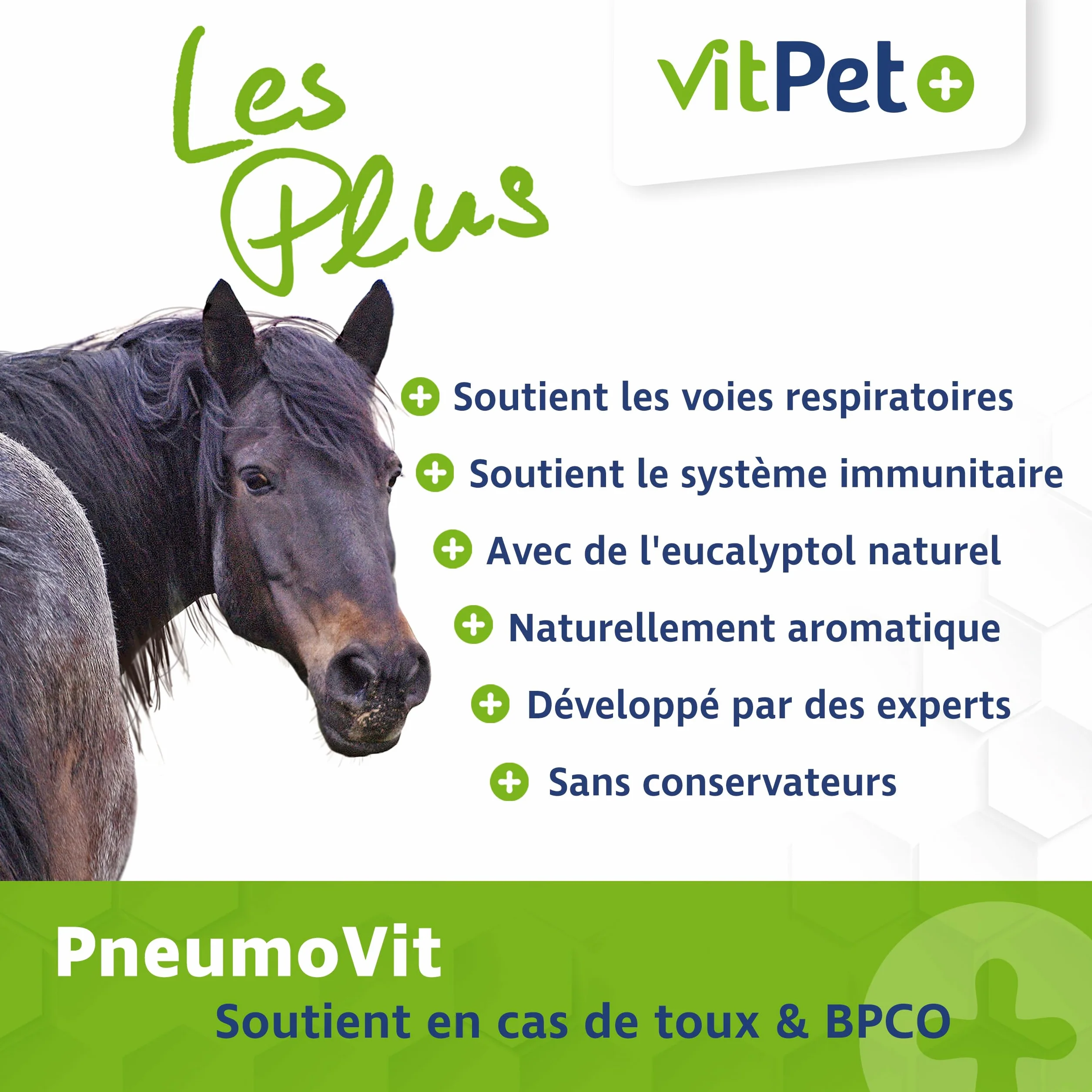 PneumoVit Cheval contre la toux 1,2 kg Eucalyptol Naturel Soutien respiratoire immunitaire Expectorant apaisant