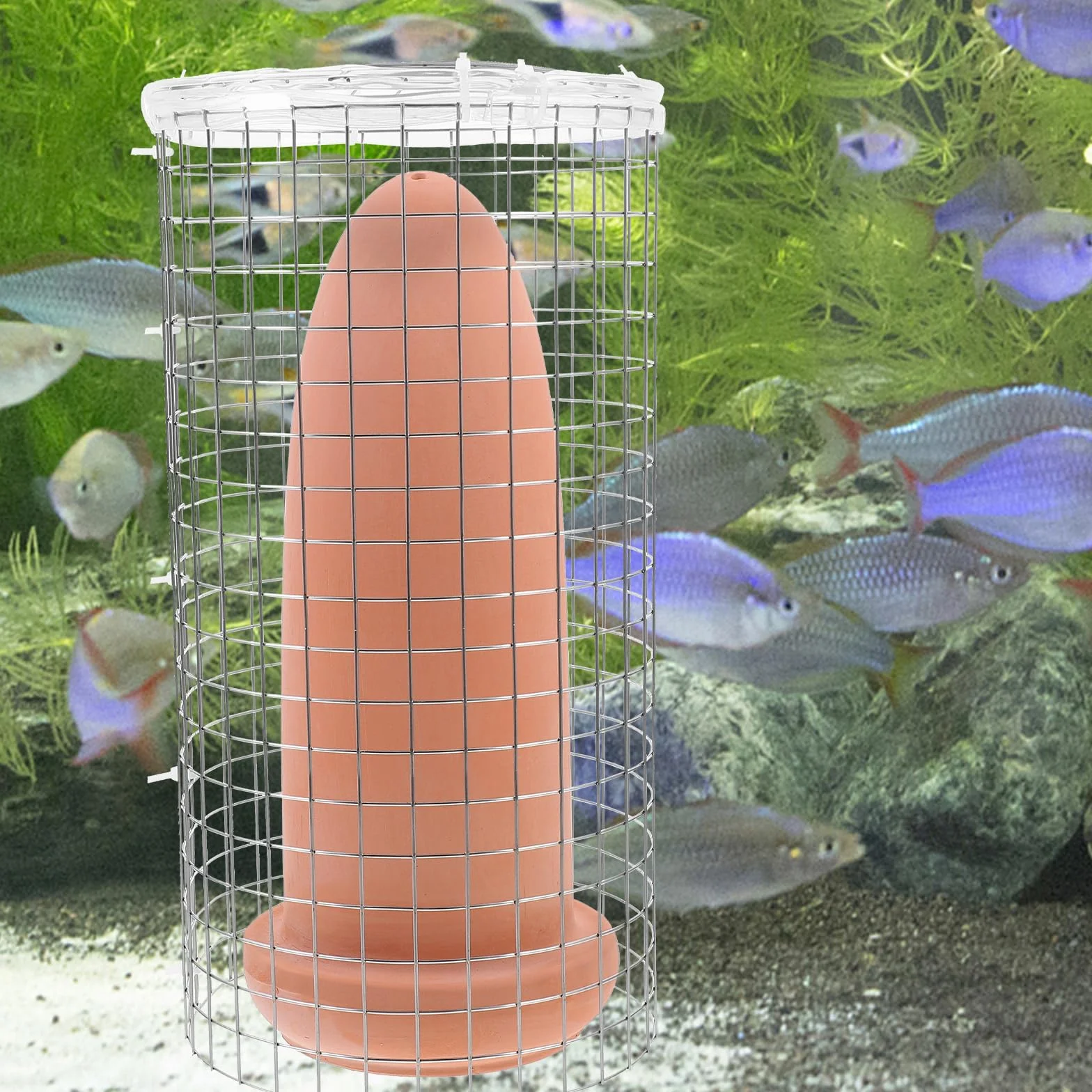 Cônes d'élevage en céramique pour Discus Crevettes Taille L
