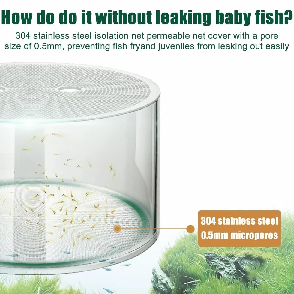 Boîte d'Élevage et d'Isolation en Acrylique pour Poissons - Réservoir avec Ventouses pour Aquarium