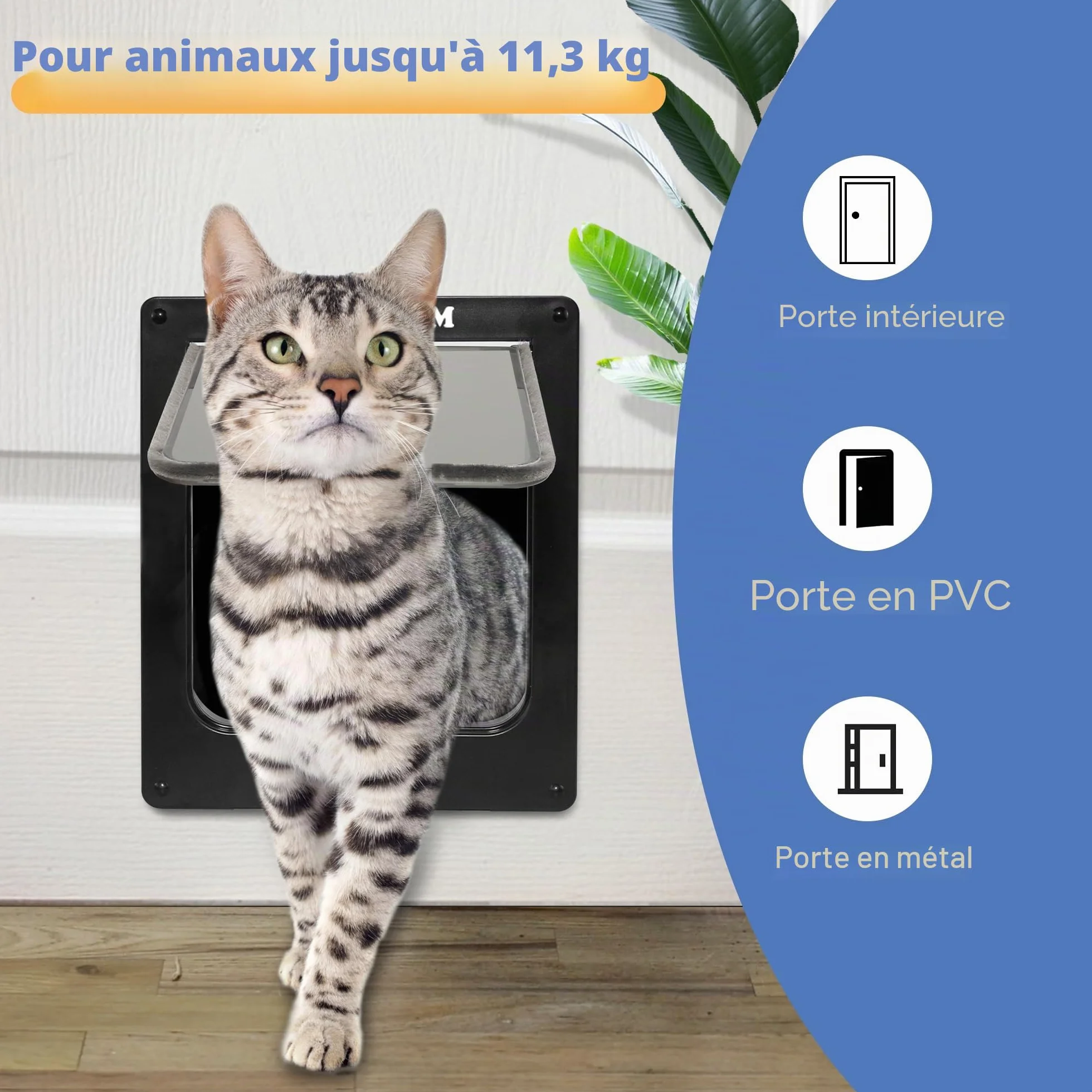 Wordcam porte pour chat XL chatière solide intérieur/extérieur verrouillable 4 voies