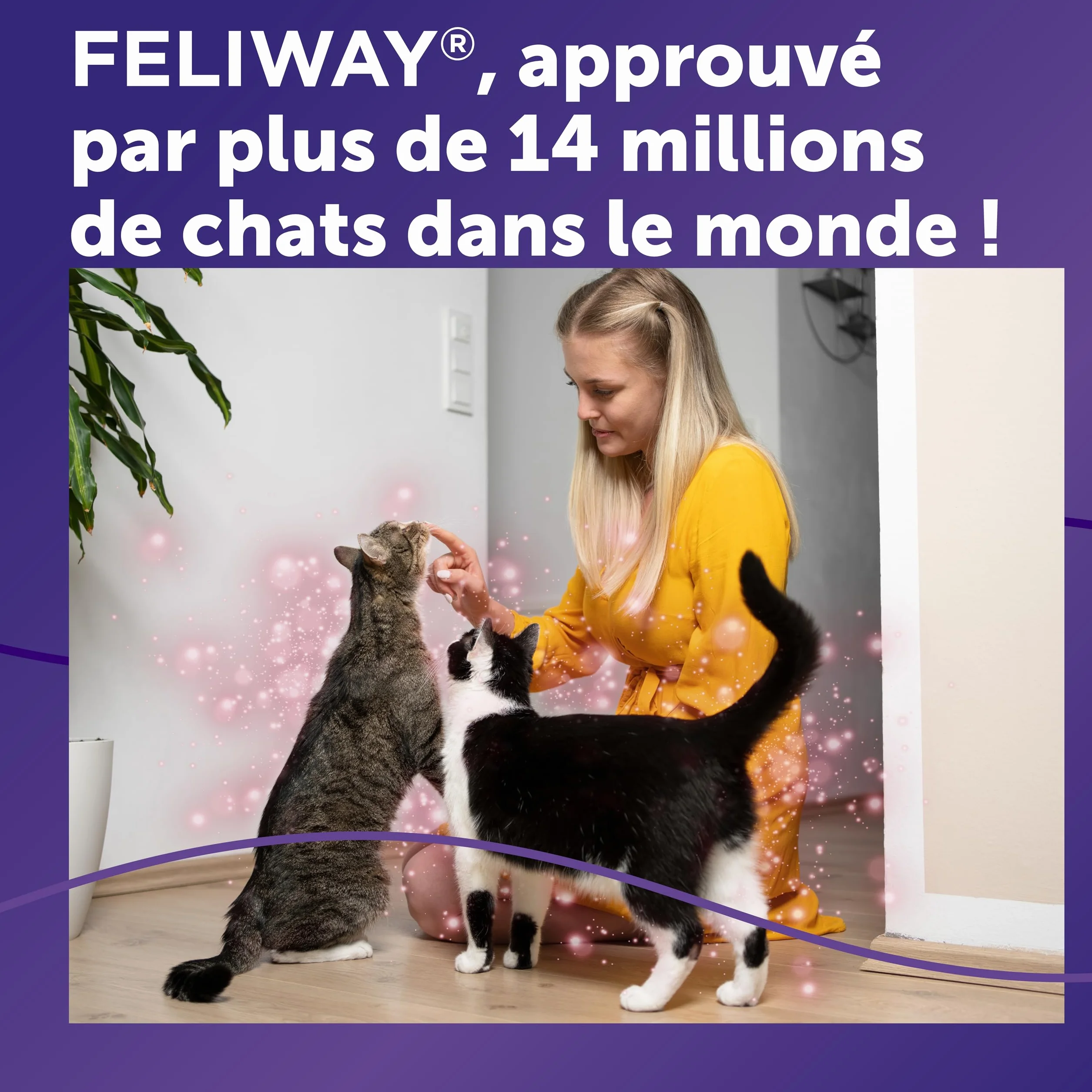 FELIWAY Friends 30 Jours - Kit Complet Diffuseur Phéromones Apaisantes pour Chats + Recharge 48 ml