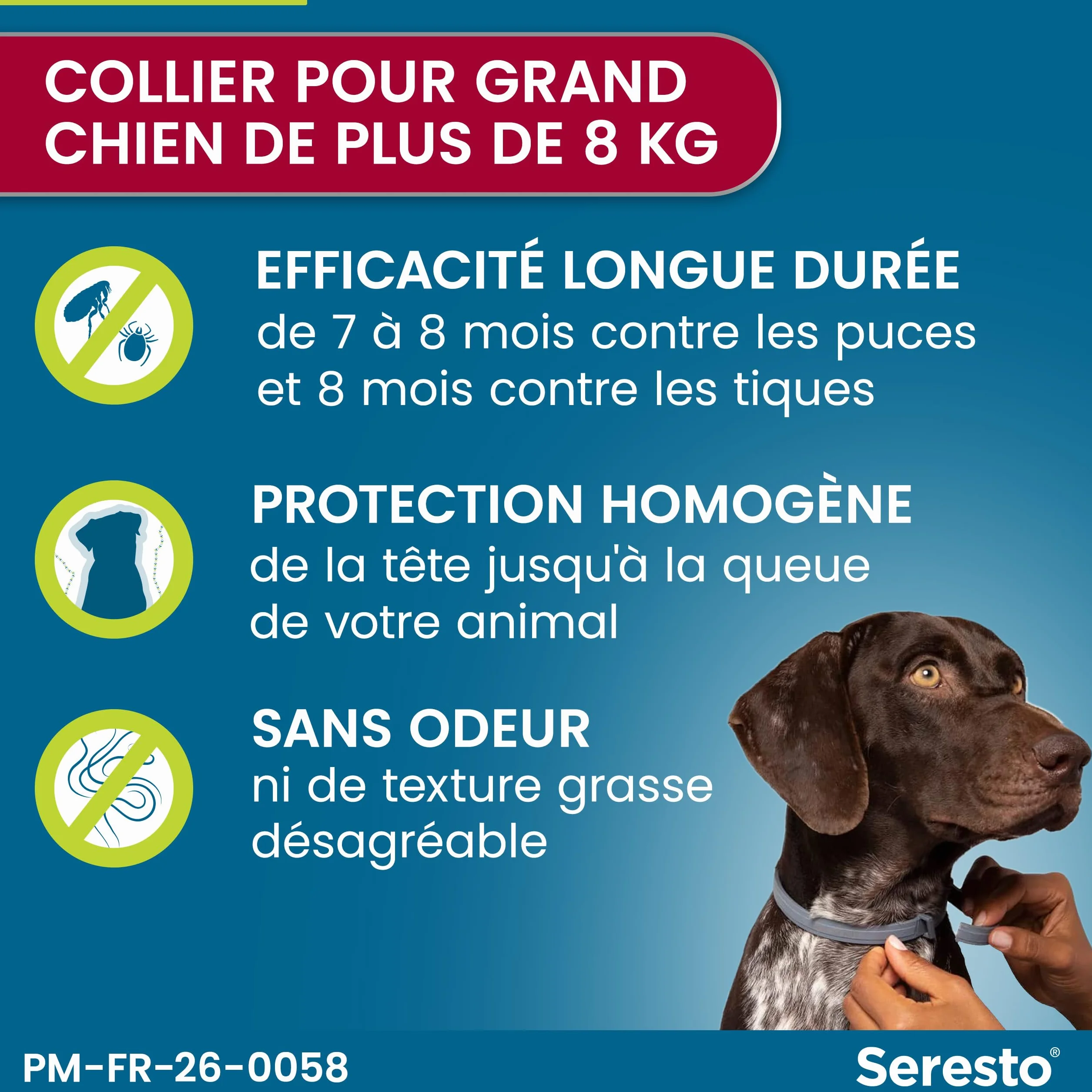 Seresto Collier Grands Chiens anti puces et tiques protection 7-8 mois gris