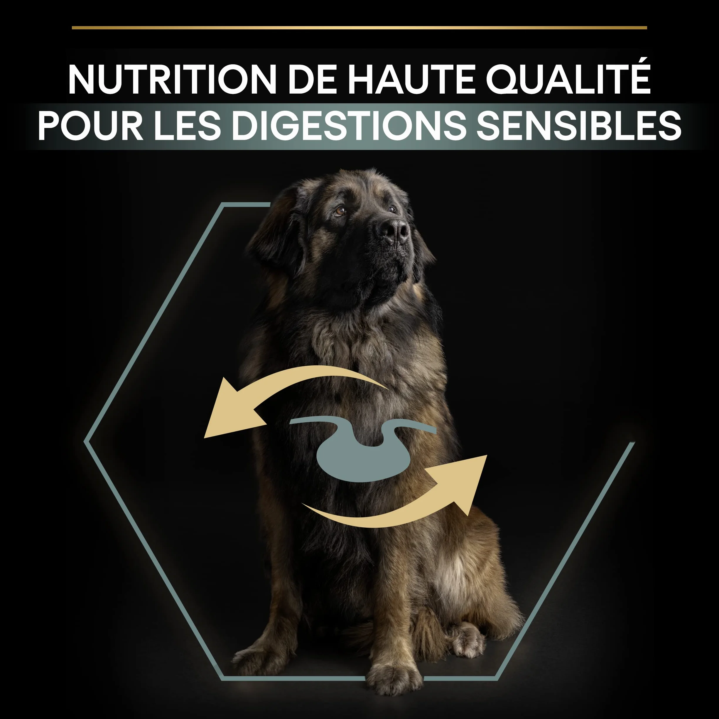 PURINA PRO PLAN Croquettes Sensitive Digestion pour Grand Chien Robustes 14kg