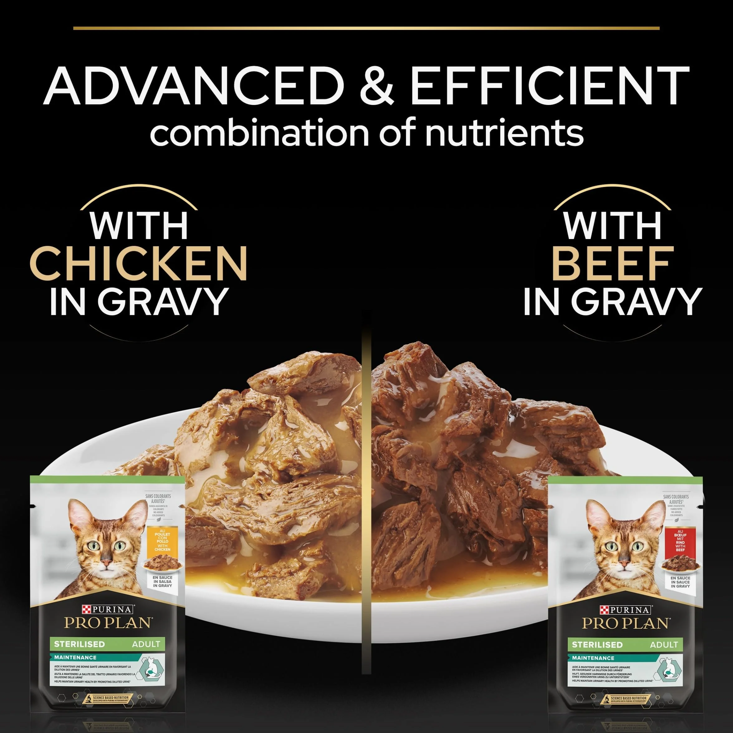PURINA PRO PLAN Adult STERILISED MAINTENANCE Aliment Complet pour Chat Adulte Stérilisé Effilés en Sauce Poulet, Boeuf Sachets 40x85g