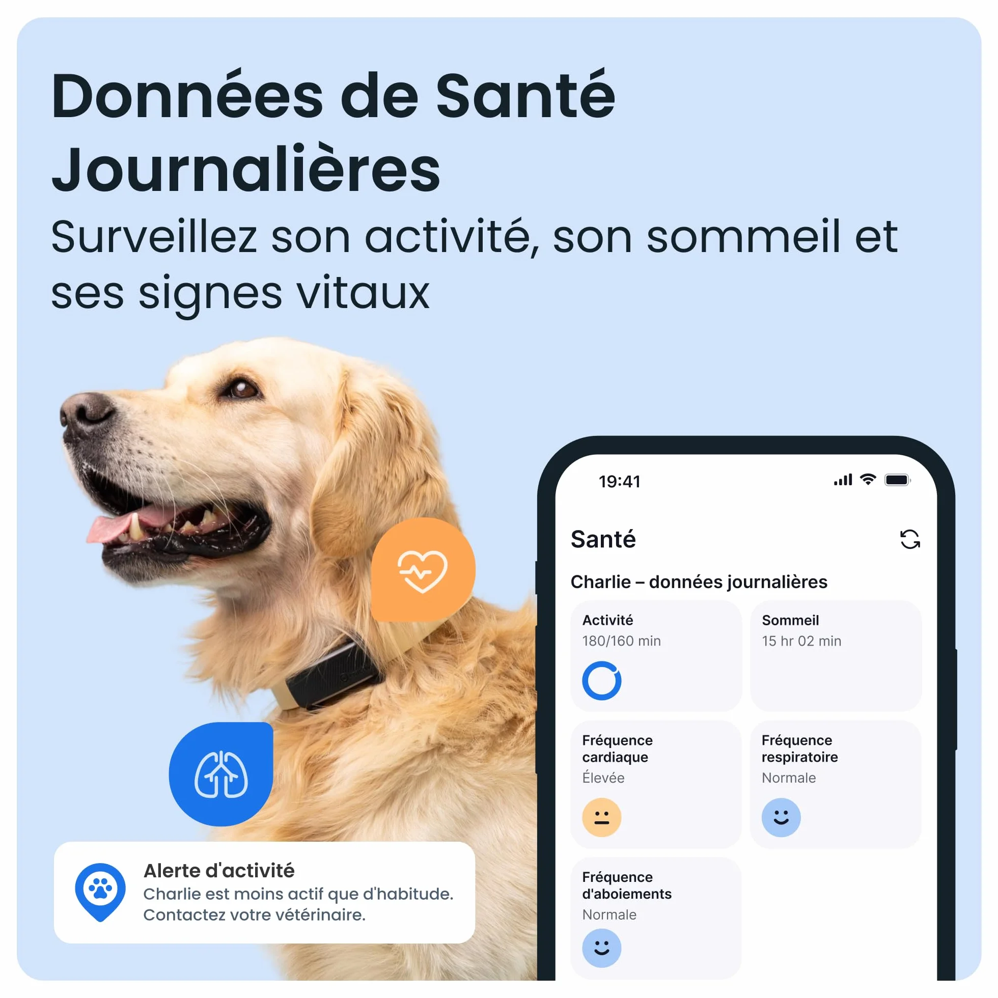 Tractive Collier GPS pour chien 2025 Édition Localisation en direct Alertes anti-fugue Moniteur d'activité et d'aboiements Noir