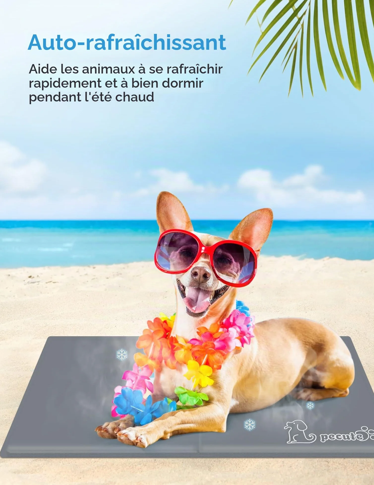 Pecute Tapis Rafraichissant Chien Chat 65x50cm M Résistant Aux Rayures Gris