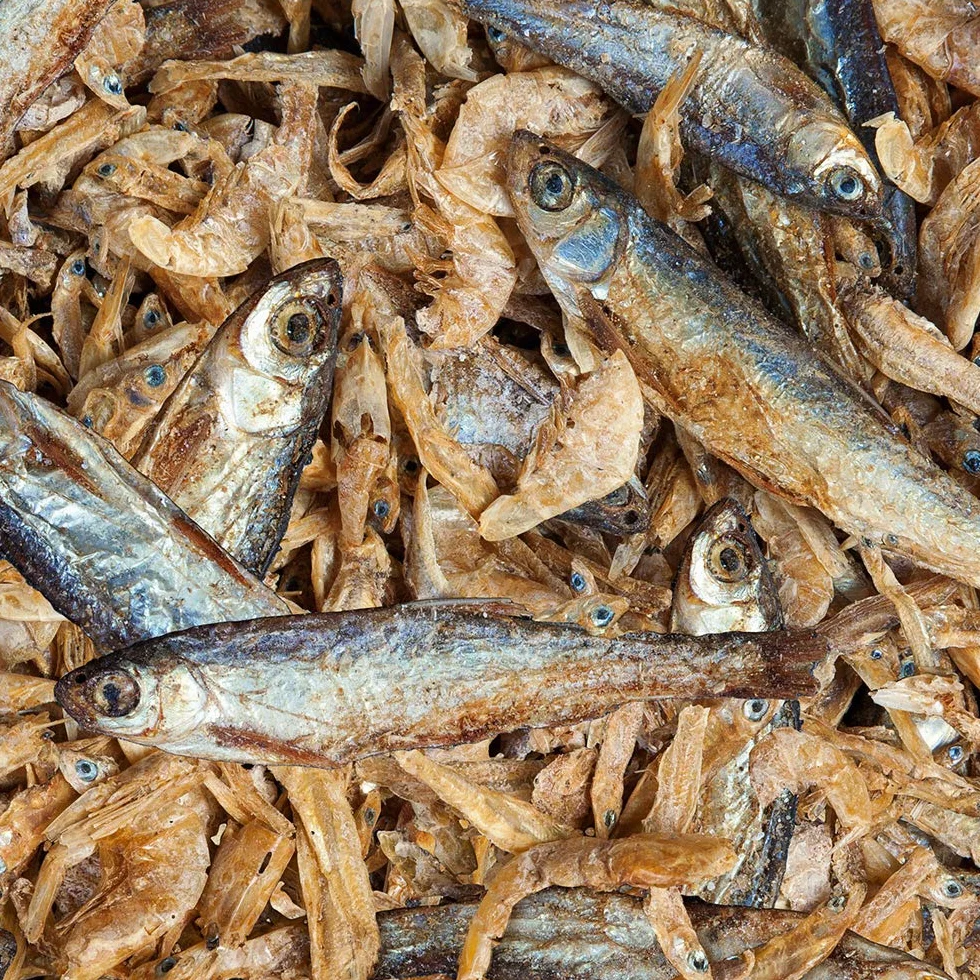 Sera Raffy Royal 1000 ml Friandises Poissons Séchés Clous Tortues d'Eau 3.8 L