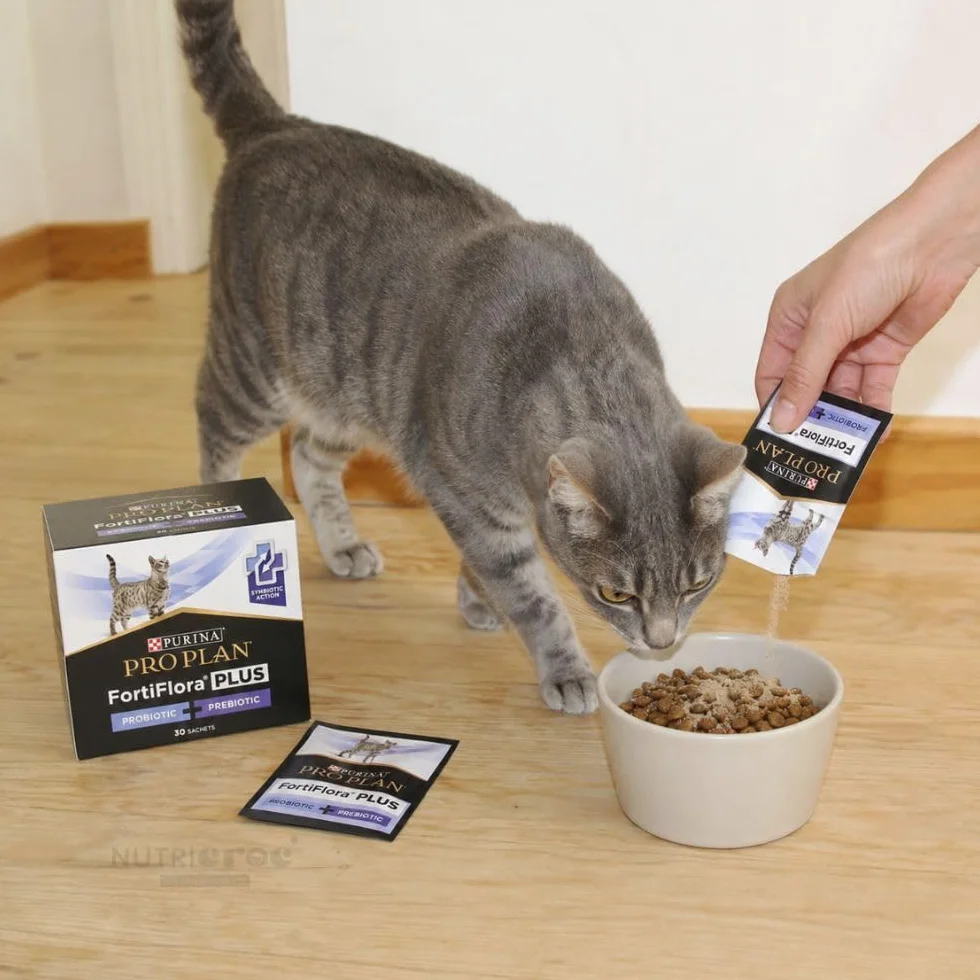 Purina ProPlan FortiFlora Plus pour Chats 30 sachets 1,5 grammes