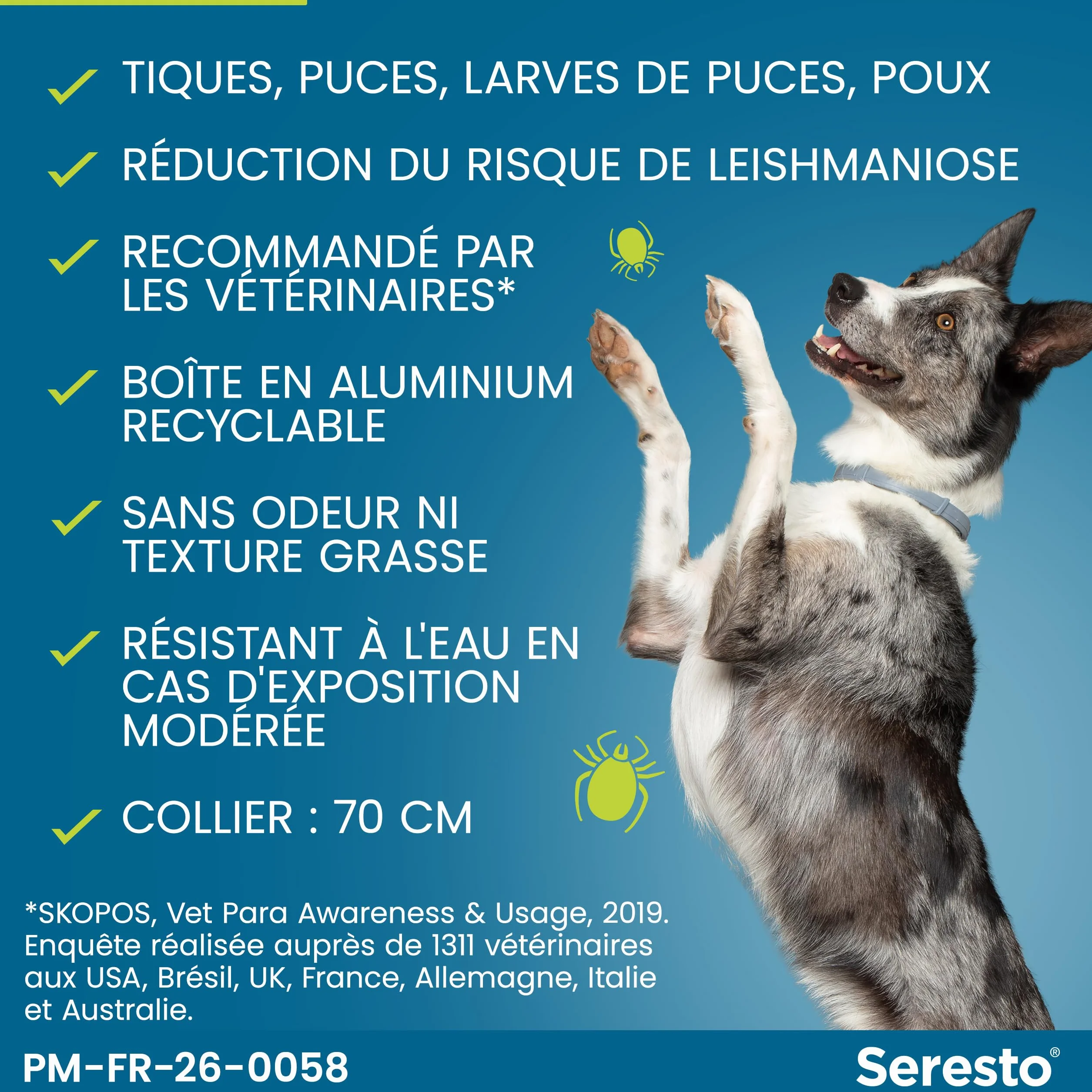Seresto Collier Grands Chiens anti puces et tiques protection 7-8 mois gris